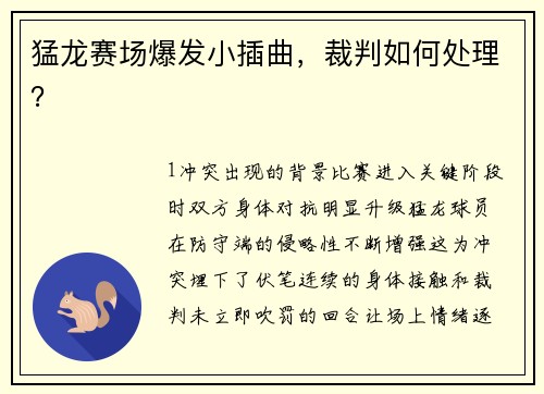 猛龙赛场爆发小插曲，裁判如何处理？